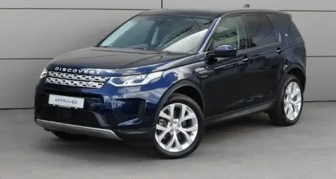 Used LAND ROVER DISCOVERY Hybrid 2022 Ad Luxembourg