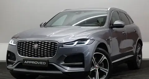 Used JAGUAR F-PACE Petrol 2022 Ad Luxembourg