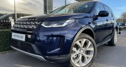 Used LAND ROVER DISCOVERY Hybrid 2022 Ad France