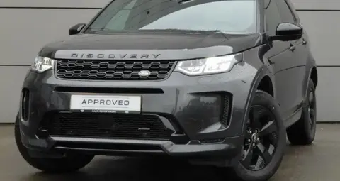Annonce LAND ROVER DISCOVERY Diesel 2023 d'occasion Luxembourg