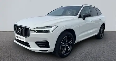 Used VOLVO XC60 Not specified 2019 Ad 