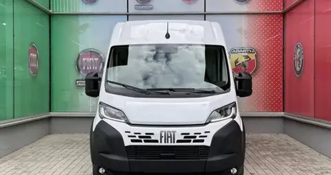 Used FIAT DUCATO Electric 2024 Ad France