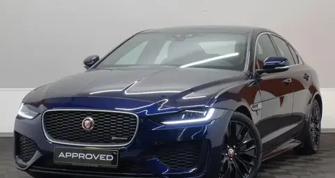 Used JAGUAR XE Diesel 2020 Ad Luxembourg