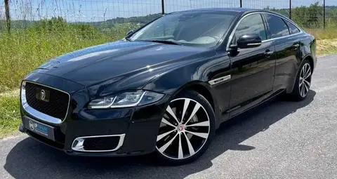 Used JAGUAR XJ Not specified 2019 Ad 