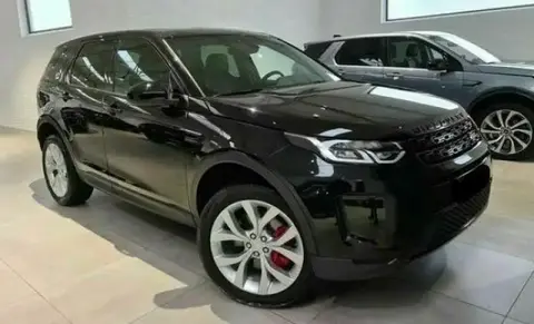 Annonce LAND ROVER DISCOVERY Essence 2021 d'occasion 