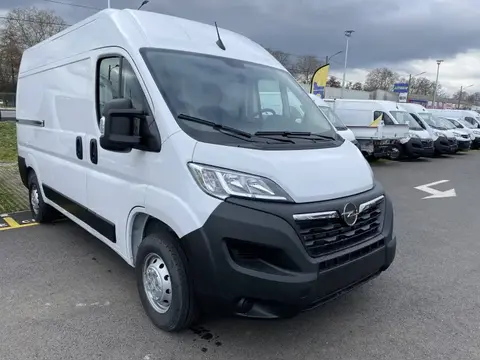 Annonce OPEL MOVANO Diesel 2022 d'occasion 