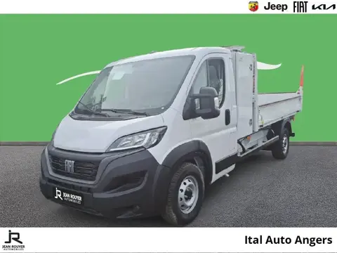 Used FIAT DUCATO Diesel 2024 Ad 