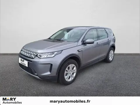 Annonce LAND ROVER DISCOVERY Essence 2022 d'occasion 