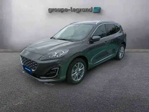 Annonce FORD KUGA Hybride 2024 d'occasion France