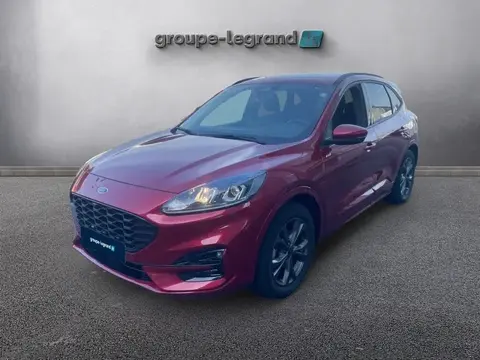Annonce FORD KUGA Hybride 2023 d'occasion France