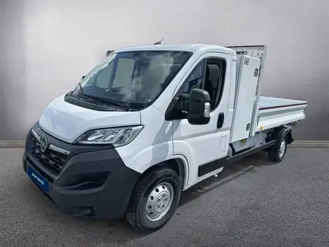 Used OPEL MOVANO Diesel 2024 Ad 