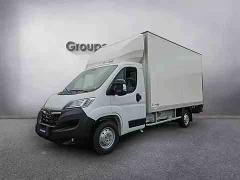 Annonce OPEL MOVANO Diesel 2024 d'occasion 