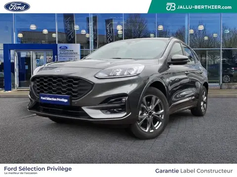 Annonce FORD KUGA Essence 2023 d'occasion France