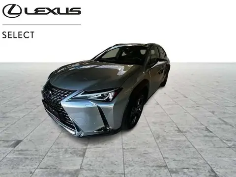 Used LEXUS UX Hybrid 2021 Ad 
