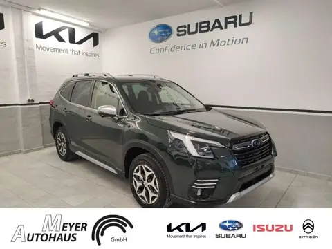Annonce SUBARU FORESTER Essence 2023 d'occasion 