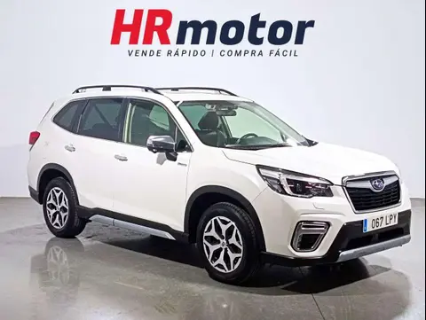 Annonce SUBARU FORESTER Diesel 2021 d'occasion 