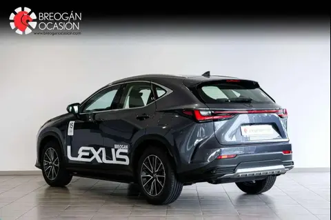 Annonce LEXUS NX Hybride 2024 d'occasion 