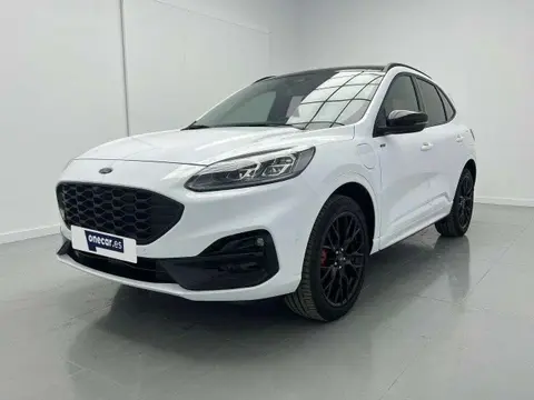 Annonce FORD KUGA  2023 d'occasion 
