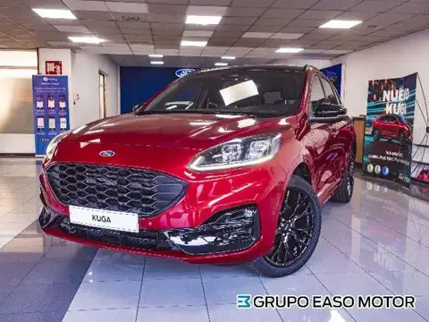 Used FORD KUGA Electric 2023 Ad 