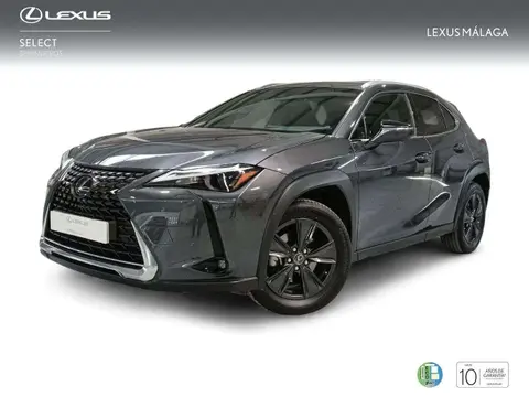 Used LEXUS UX Hybrid 2023 Ad 
