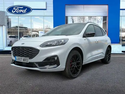 Annonce FORD KUGA  2024 d'occasion 