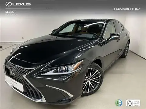 Used LEXUS ES Hybrid 2024 Ad 