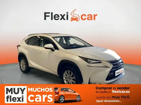 Used LEXUS NX Hybrid 2016 Ad 