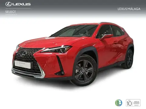 Annonce LEXUS UX Hybride 2024 d'occasion 
