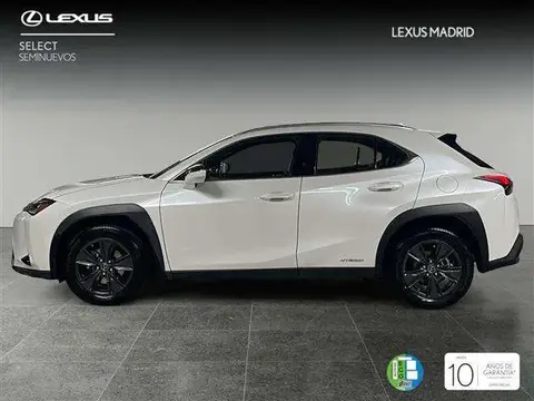 Annonce LEXUS UX Hybride 2020 d'occasion 