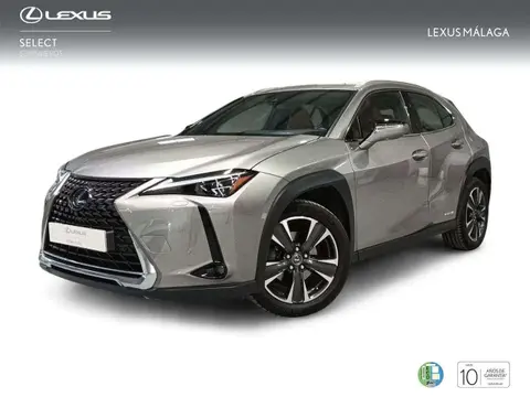 Used LEXUS UX Hybrid 2020 Ad 