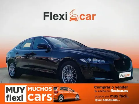 Used JAGUAR XF Diesel 2019 Ad 
