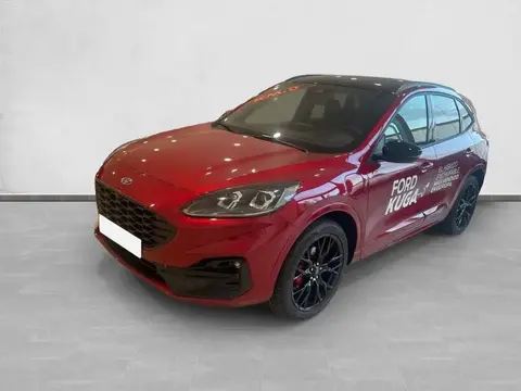 Used FORD KUGA Electric 2023 Ad 