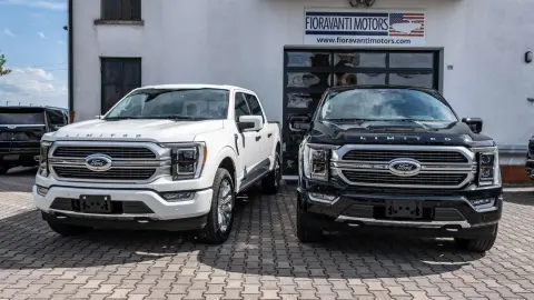 Annonce FORD F150  2024 d'occasion 