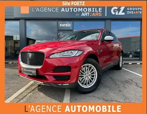 Used JAGUAR F-PACE Diesel 2017 Ad Luxembourg