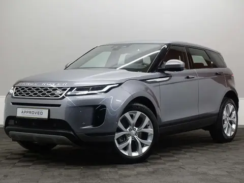 Annonce LAND ROVER RANGE ROVER EVOQUE Diesel 2021 d'occasion Luxembourg