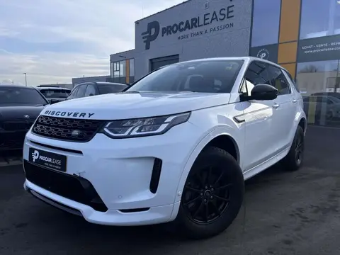 Annonce LAND ROVER DISCOVERY Hybride 2021 d'occasion Luxembourg