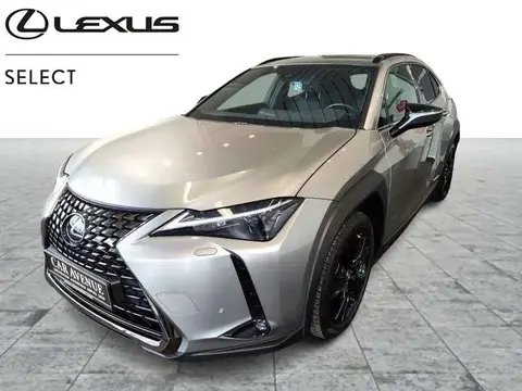 Annonce LEXUS UX Hybride 2021 d'occasion 