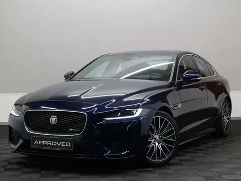 Used JAGUAR XE Diesel 2023 Ad Luxembourg