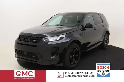 Used LAND ROVER DISCOVERY Hybrid 2022 Ad Luxembourg