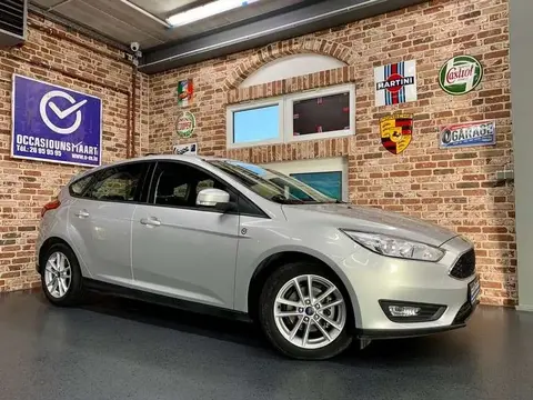 Used FORD FOCUS Petrol 2018 Ad Luxembourg