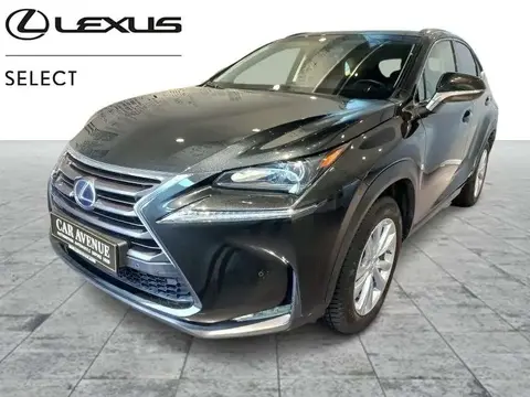 Used LEXUS NX Hybrid 2017 Ad 