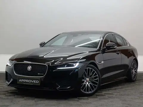 Used JAGUAR XE Diesel 2023 Ad Luxembourg