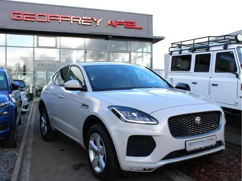 Used JAGUAR E-PACE Diesel 2020 Ad Luxembourg