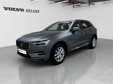 Used VOLVO XC60 Petrol 2019 Ad Luxembourg