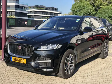 Used JAGUAR F-PACE Diesel 2018 Ad Luxembourg