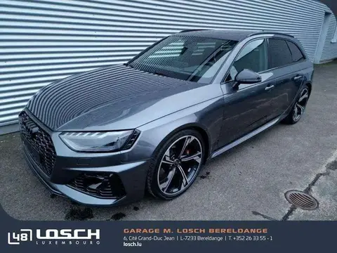 Used AUDI RS4 Petrol 2023 Ad Luxembourg