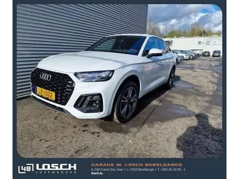 Annonce AUDI Q5 Hybride 2024 d'occasion Luxembourg