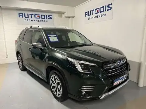Annonce SUBARU FORESTER Hybride 2023 d'occasion Luxembourg