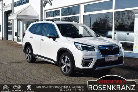 Annonce SUBARU FORESTER Essence 2022 d'occasion Allemagne