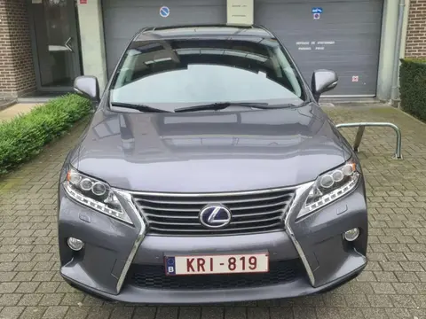 Used LEXUS RX Hybrid 2014 Ad Belgium